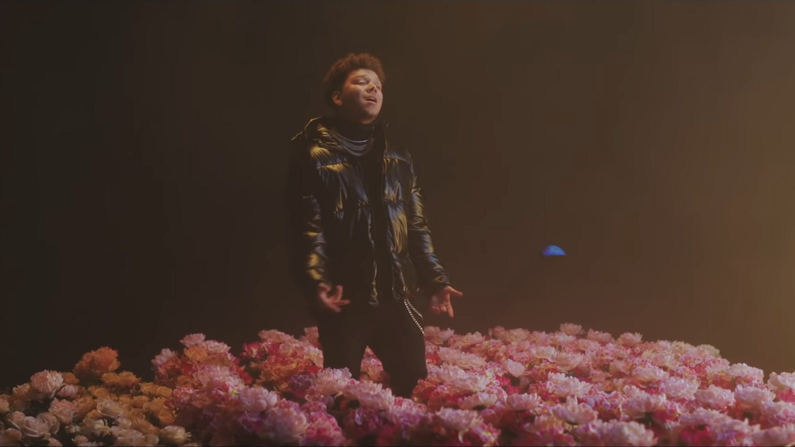 Phora - Director of Photography